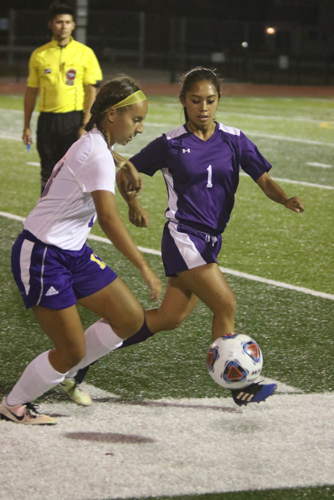 Gallery: Portage Girls Soccer Sectional